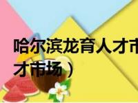 哈尔滨龙育人才市场档案电话（哈尔滨龙育人才市场）