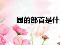 园的部首是什么（领的部首是什么）