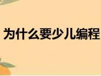 为什么要少儿编程（我为什么放弃幼儿编程）