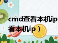 cmd查看本机ip地址的命令是什么（cmd查看本机ip）