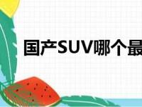 国产SUV哪个最好（国产suv哪个最好）