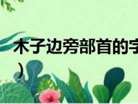 木子边旁部首的字有什么（木子边旁部首的字）