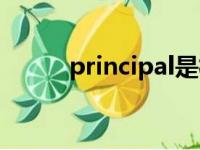 principal是校长吗（principal）