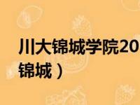 川大锦城学院2024录取分数线是多少（川大锦城）