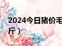 2024今日猪价毛猪价表（现在毛猪多少钱一斤）