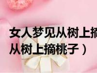 女人梦见从树上摘桃子吃预示什么（女人梦见从树上摘桃子）