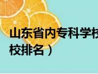 山东省内专科学校排名民办（山东省内专科学校排名）