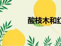 酸枝木和红木哪个好（酸枝）