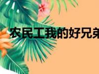 农民工我的好兄弟原唱（我的好兄弟原唱）