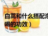 白蒿和什么搭配泡水喝最养肝（白蒿红枣泡水喝的功效）