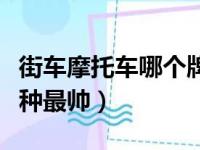 街车摩托车哪个牌子性价比高（街车摩托车哪种最帅）