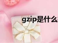 gzip是什么格式（gzip是什么）