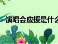 演唱会应援是什么意思（应援是什么意思）