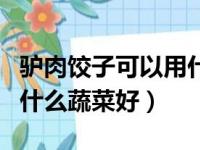驴肉饺子可以用什么菜菜做辅料（驴肉水饺用什么蔬菜好）