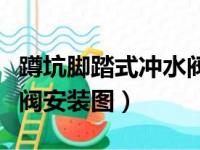 蹲坑脚踏式冲水阀安装尺寸图（蹲坑脚踏冲水阀安装图）