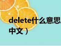 delete什么意思中文翻译（delete什么意思中文）