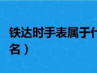 铁达时手表属于什么档次（铁达时手表世界排名）