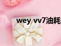 wey vv7油耗多少（wey vv7油耗）