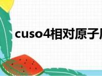 cuso4相对原子质量（na相对原子质量）