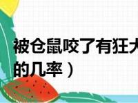 被仓鼠咬了有狂犬病毒吗（被仓鼠咬得狂犬病的几率）