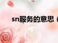 sn服务的意思（sn服务是什么意思啊）