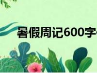 暑假周记600字作文（暑假周记600字）