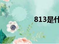 813是什么意思（8 13）