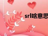 srl啥意思（srkl什么意思）