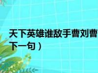 天下英雄谁敌手曹刘曹刘指的是谁（天下英雄谁敌手曹刘的下一句）