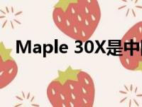 Maple 30X是中国的新型低成本电动SUV