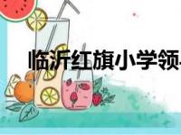 临沂红旗小学领导班子（临沂红旗小学）