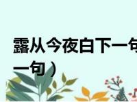 露从今夜白下一句月是故乡明（露从今夜白下一句）