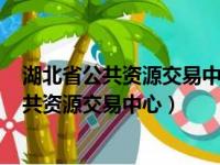 湖北省公共资源交易中心(湖北省政府采购中心)（湖北省公共资源交易中心）