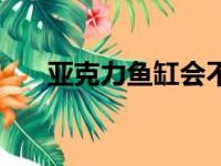 亚克力鱼缸会不会爆缸（亚克力鱼缸）