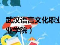 武汉语言文化职业学院改名（武汉语言文化职业学院）