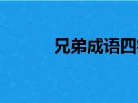 兄弟成语四字成语（兄弟成语）