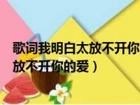 歌词我明白太放不开你的爱太熟悉你的关怀（歌词我明白太放不开你的爱）