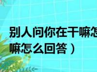 别人问你在干嘛怎么回答对方（别人问你在干嘛怎么回答）