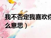 我不否定我喜欢你是什么意思（我不否定是什么意思）