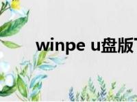 winpe u盘版下载（win pe u盘版）