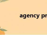 agency problem（agency）