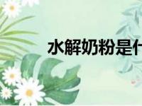 水解奶粉是什么意思（水解奶粉）