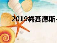 2019梅赛德斯-奔驰Sprinter变体细分