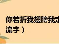 你若折我翅膀我定毁你天堂非主流文字（非主流字）