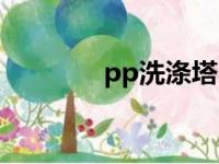 pp洗涤塔（pp别黏在椅上）