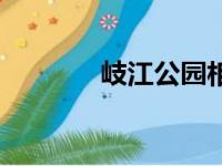 岐江公园相亲角（岐江公园）