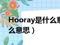 Hooray是什么意思中文翻译（hooray是什么意思）