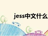 jess中文什么意思（jess什么意思）