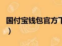 国付宝钱包官方下载（国付宝是是正规公司吗）