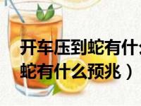 开车压到蛇有什么预兆 怎么解决（开车压到蛇有什么预兆）